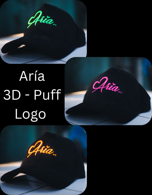 Aría Logo 3D Puff Embroidered Black Suede Hat.